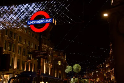 DSC_6073 (Large).JPG